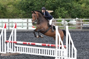 Class 7 - Fences 3' to 3'3